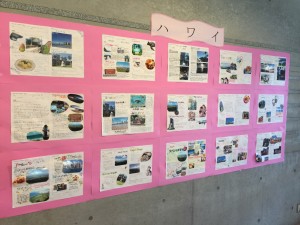IMG_2646